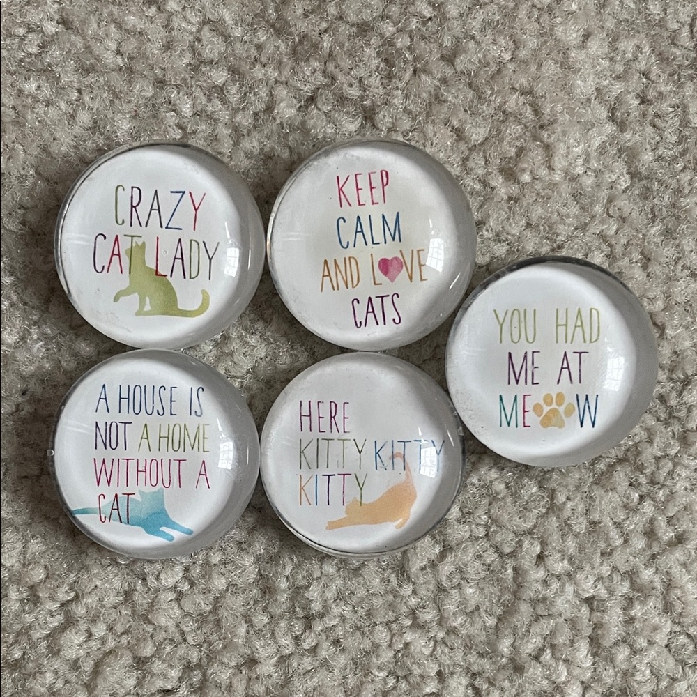 Cat-Themed Decorative Magnets